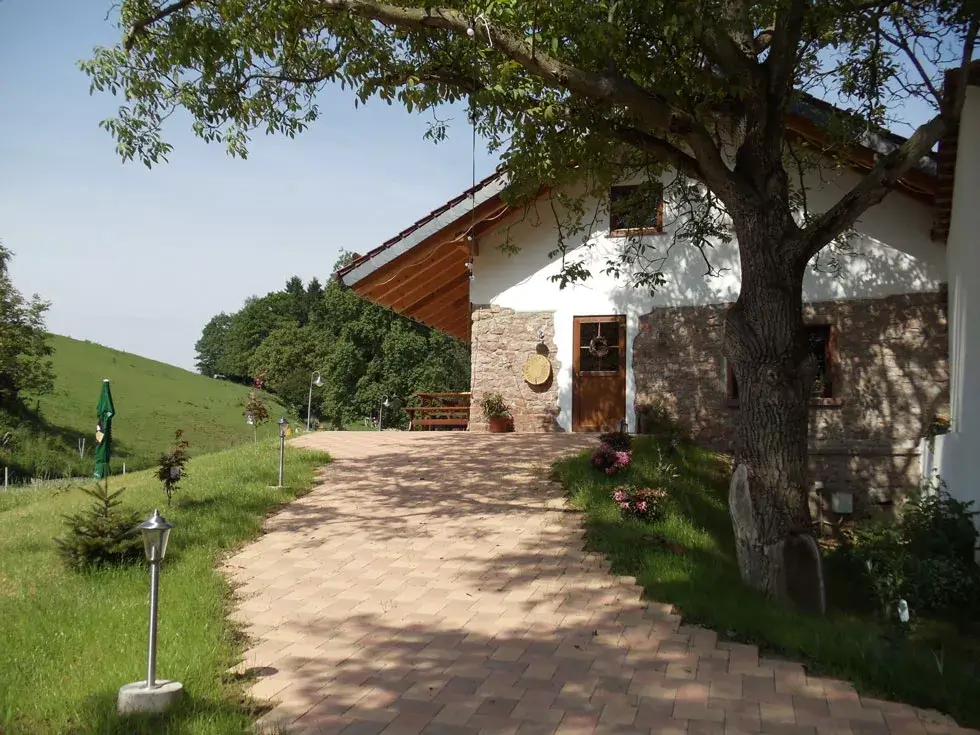Haus mit weißer Fassade und Natursteinmauer, gepflasterter Weg, großer Baum rechts, grüne Wiese links, Gartenmöbel sichtbar