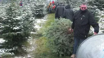 Person in dunkler Winterkleidung trägt frisch geschlagene Tanne auf verschneitem Weg zwischen Tannenbäumen.